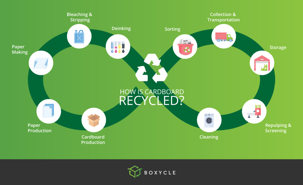 Infographic explaining how cardboard is recycled